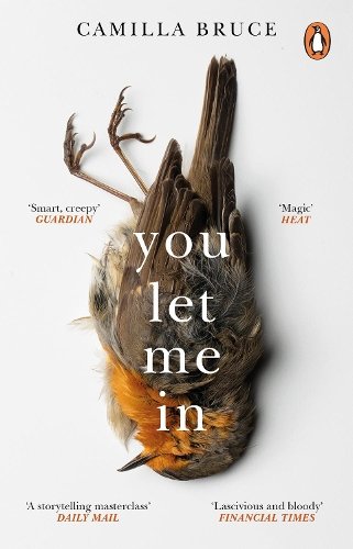 You Let Me In: The acclaimed, unsettling novel of haunted love, revenge and the nature of truth cover