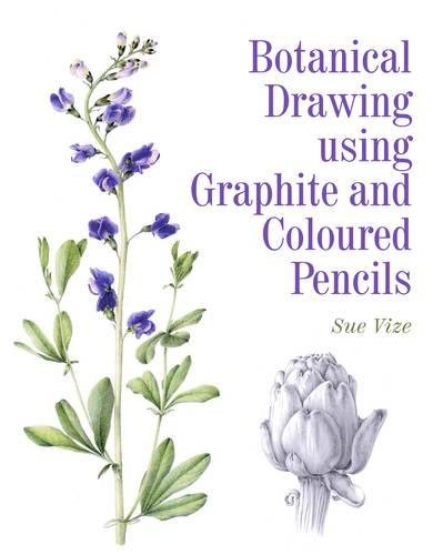 Botanical Drawing using Graphite and Coloured Pencils Vize Paperback