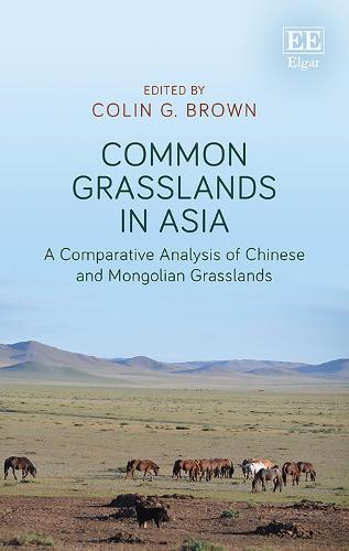 Common Grasslands in Asia – A Comparative Analysis of Chinese and Mongolian Gra…