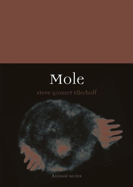 Mole Ellerhoff Paperback Reaktion Books 9781789142228