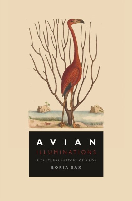 Avian Illuminations – A Cultural History of Birds Sax Hardback Reaktion Books