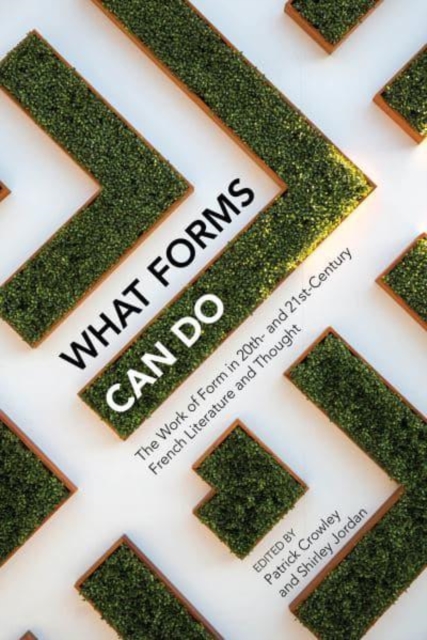 What Forms Can Do – The Work of Form in 20th– and 21st– Century French Literatu…