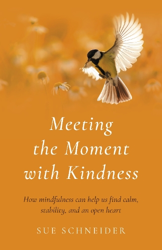 Meeting the Moment with Kindness – How mindfulness can help us find calm, stabi…
