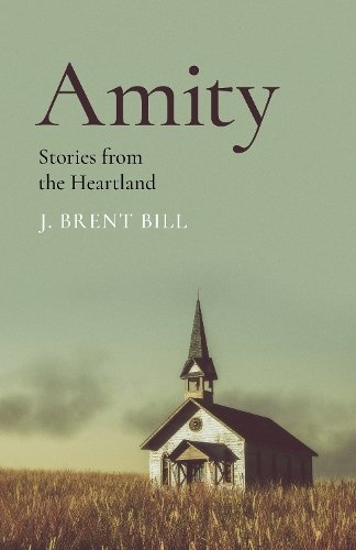 Amity – Stories from the Heartland Bill Paperback John Hunt 9781803413662