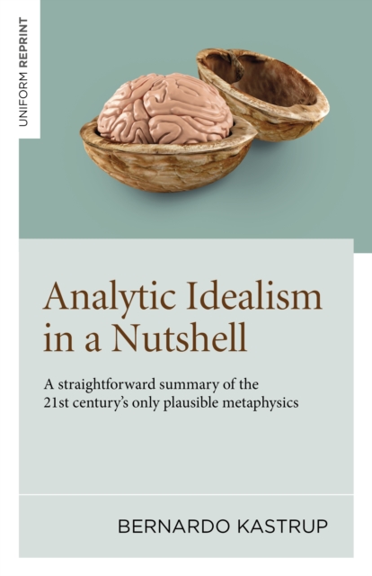 Analytic Idealism in a Nutshell – A straightforward summary of the 21st century…