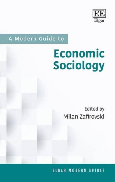 A Modern Guide to Economic Sociology Zafirovski Paperback Edward Elgar
