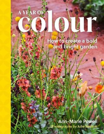 A Year of Colour bookcover