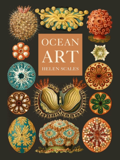 Ocean Art – From the Shore to the Deep Scales Hardback John Wiley & Sons
