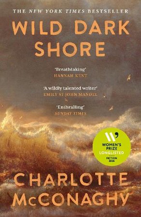 Wild Dark Shore bookcover