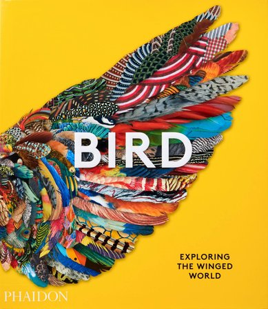 Bird bookcover