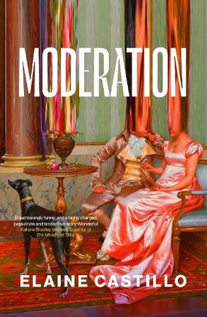 Moderation bookcover
