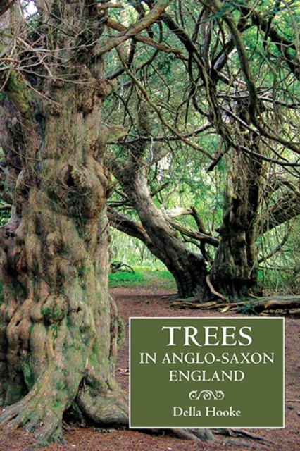 Trees in Anglo–Saxon England – Literature, Lore and Landscape Hooke Paperback