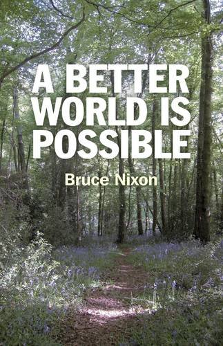 Better World is Possible, A Nixon Paperback John Hunt 9781846945144