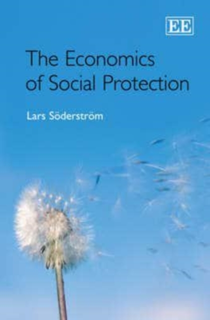 The Economics of Social Protection Söderström Hardback Edward Elgar