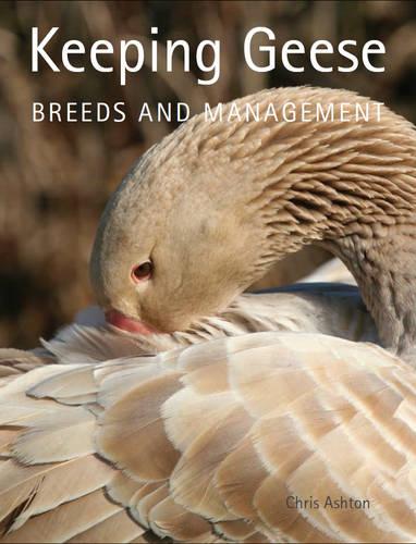Keeping Geese – Breeds and Management Ashton Paperback The Crowood Press
