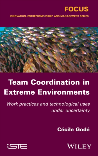 Team Coordination in Extreme Environments – Work Practices and Technological Us…