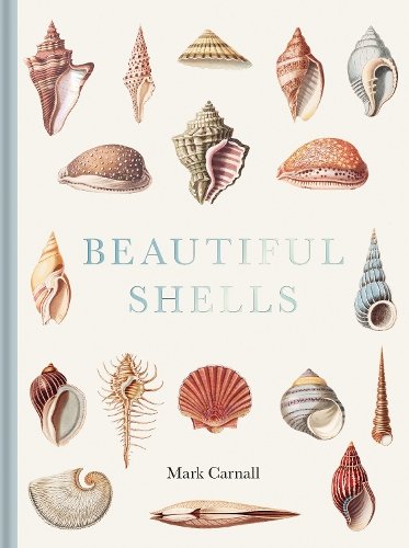 Beautiful Shells Carnall Hardback The Bodleian Library 9781851246168