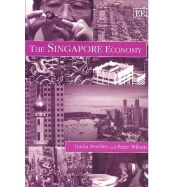 The Singapore Economy Peebles Wilson Paperback Edward Elgar 9781858983899