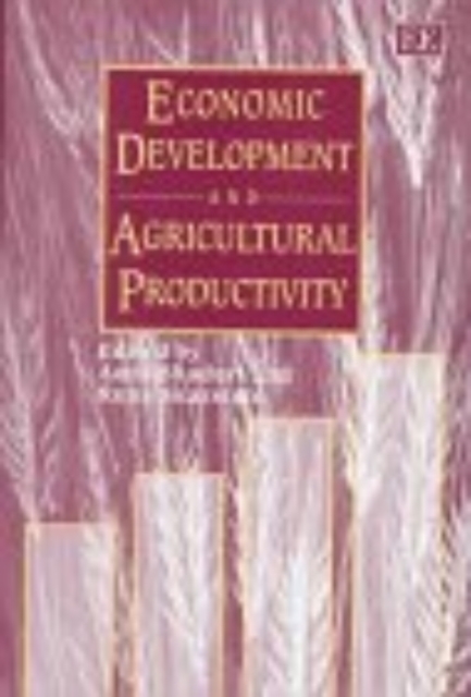 Economic Development and Agricultural Productivity Bhaduri Skarstein Hardback