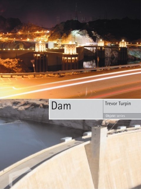 Dam Turpin Paperback Reaktion Books 9781861893284