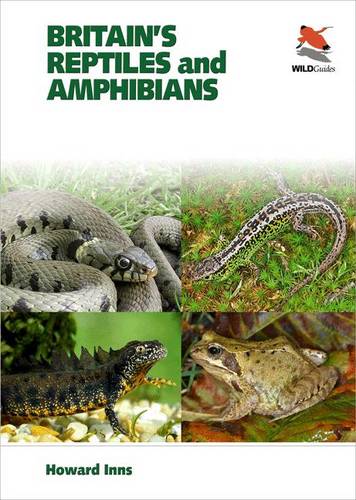 Britain`s Reptiles and Amphibians – A guide to the reptiles and amphibians of G…