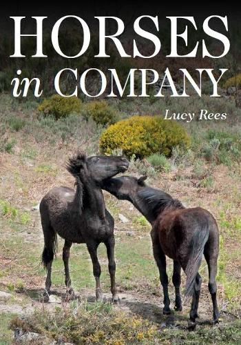 Horses in Company Rees Paperback TCP – J A Allen 9781908809568