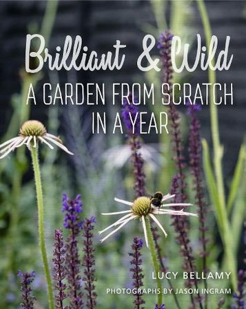 Brilliant and Wild bookcover