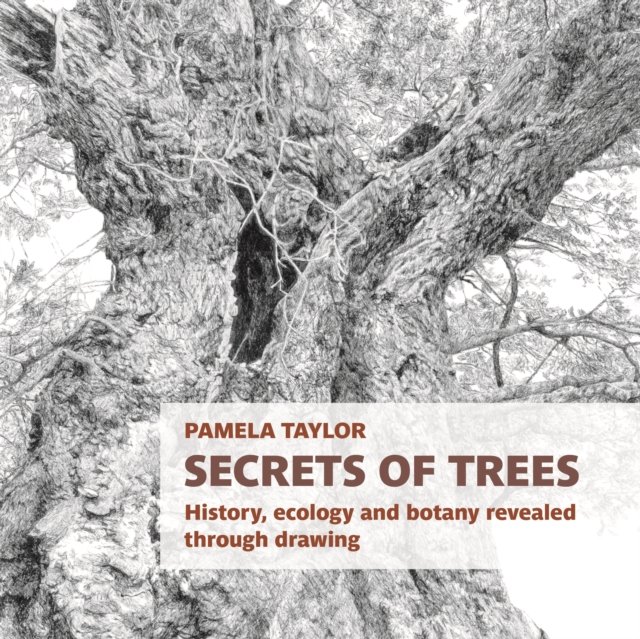 Secrets of Trees: History, ecology and botany revealed through drawing