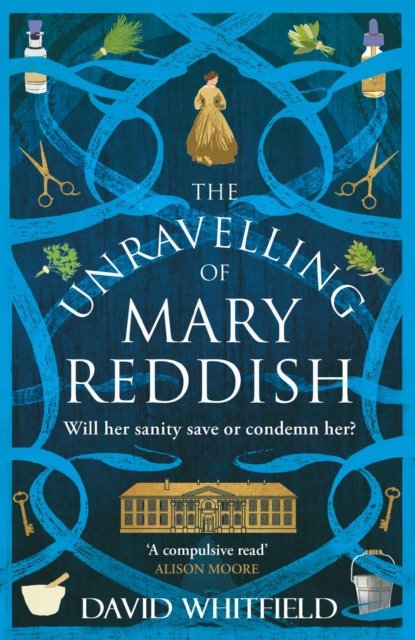 The Unravelling of Mary Reddish: a powerful historical novel about a woman unjustly committed to an asylum