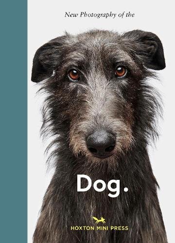 New Photography of the Dog bookcover