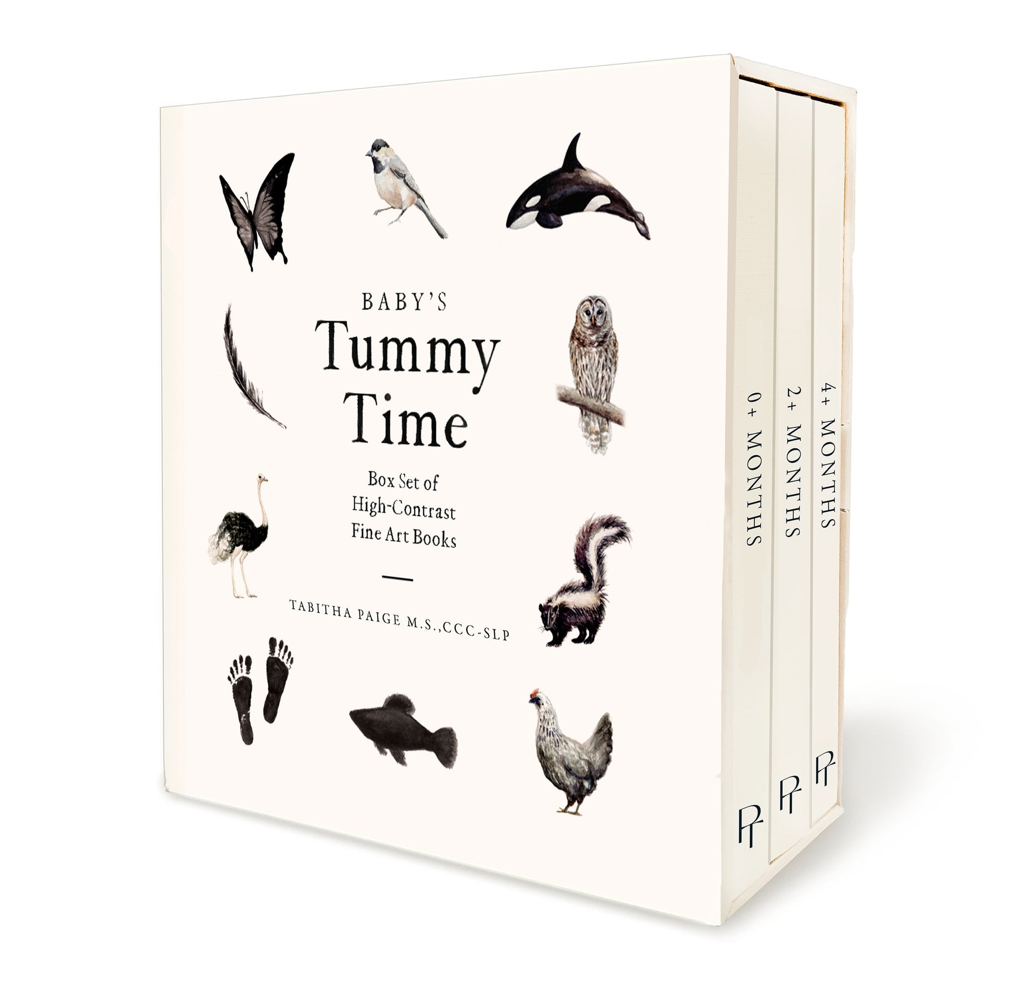 Baby′s Tummy Time Book Box Set Paige Hardback Paige Tate & Co 9781958803899