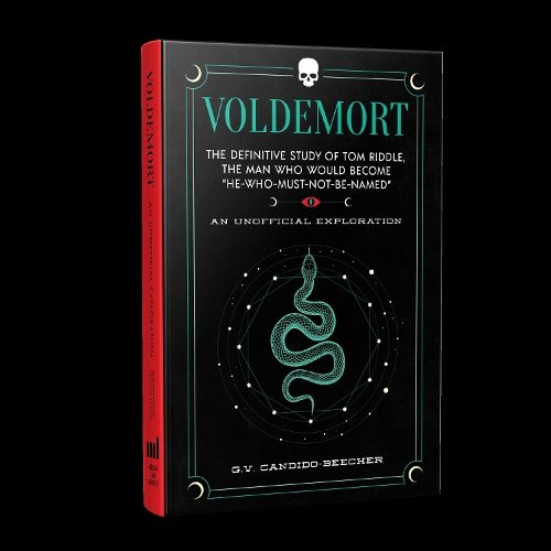 Voldemort a book by Grace Candido-Beecher - Bookshop.org UK
