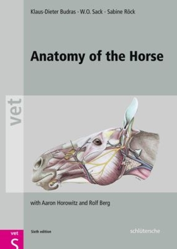 Anatomy of the Horse Budras Sack Röck Hardback MP–SCH Schlutersche 9783899936667