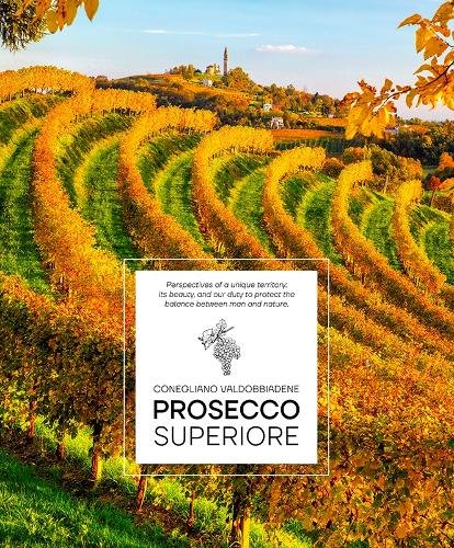 Prosecco Superiore: Conegliano Valdobbiadene &sbquo;&Auml;&icirc; Perspectives of a Unique Territory