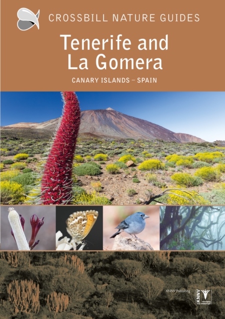 Tenerife and La Gomera: Canary Islands ‚Äì Spain